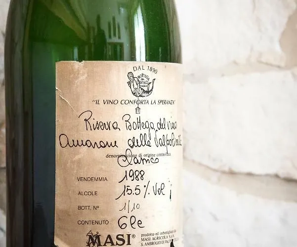 Relais Des Roches سونا