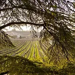 Relais Des Roches *
